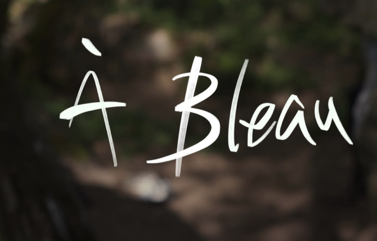 Stage à Fontainebleau